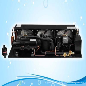 Cold room freezing cabinet of R404A Refrigeration equipment of Condensing Units